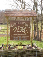 Bienvenue au Haras du Moulin