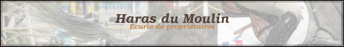 Haras du Moulin